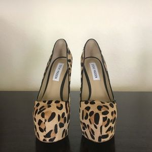 Steve Madden Desiresl Leopard Heels